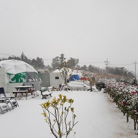 Jeju Starlight Glamping Villa Exterior photo